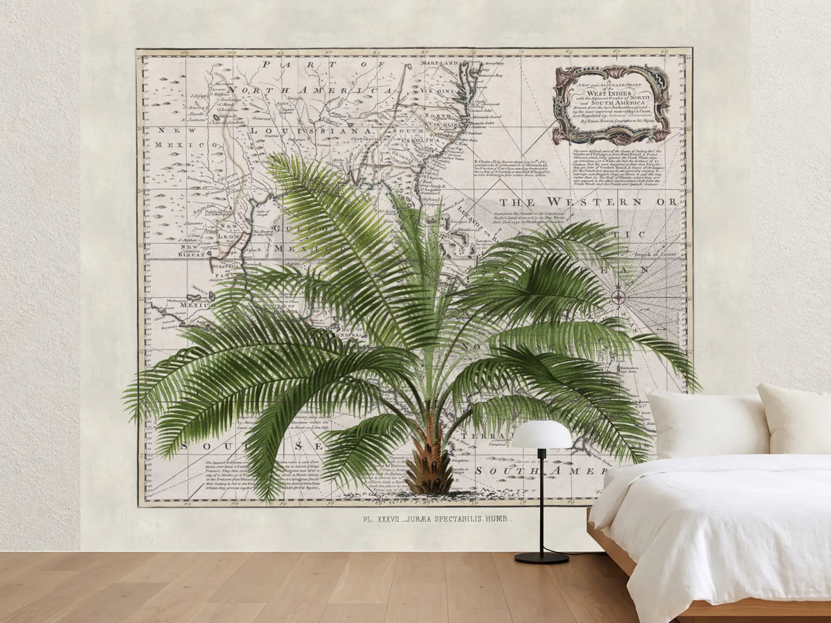 photo-wallpaper-vintage-map-palm-tree