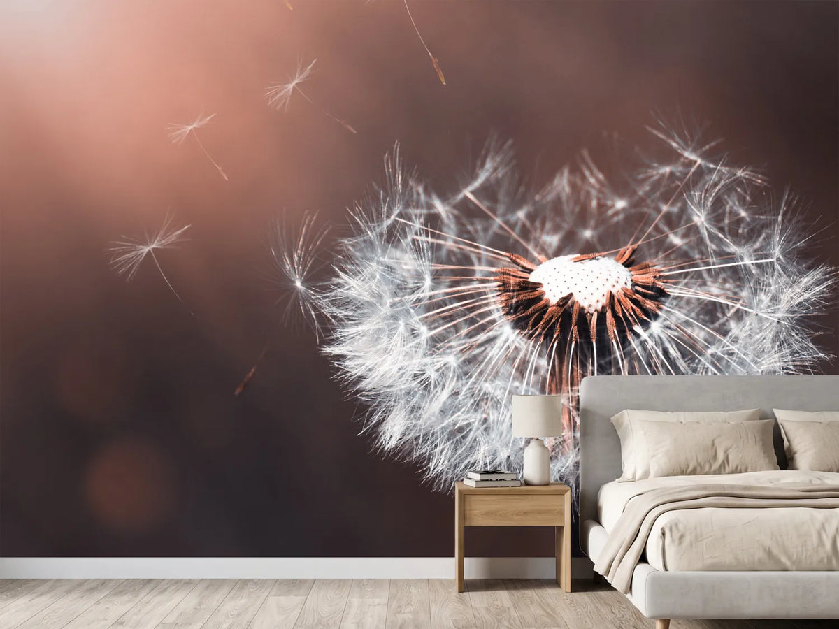 photo-wallpaper-dandelion-in-the-evening-light