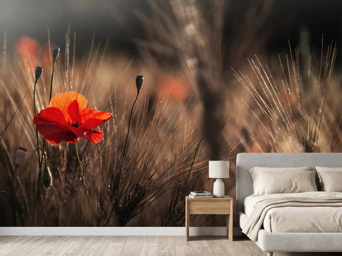 photo-wallpaper-poppy-with-corn-x