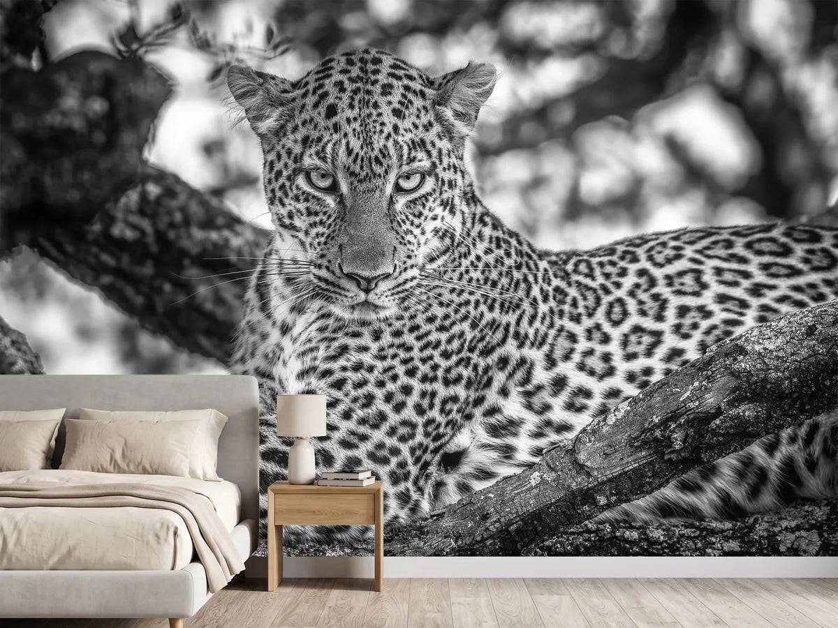 photo-wallpaper-monochrome-beauty-x