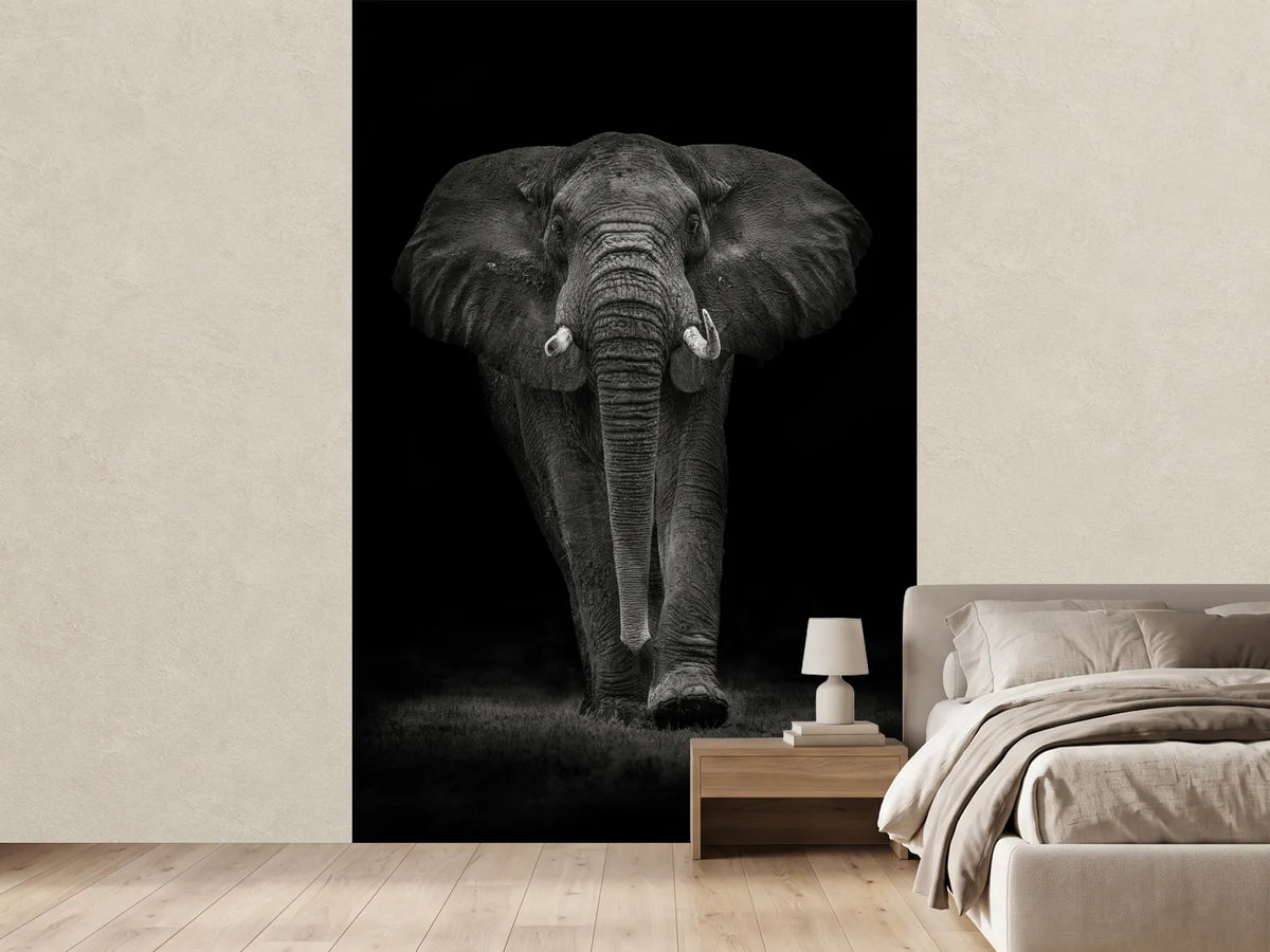 photo-wallpaper-ngorongoro-bull-x