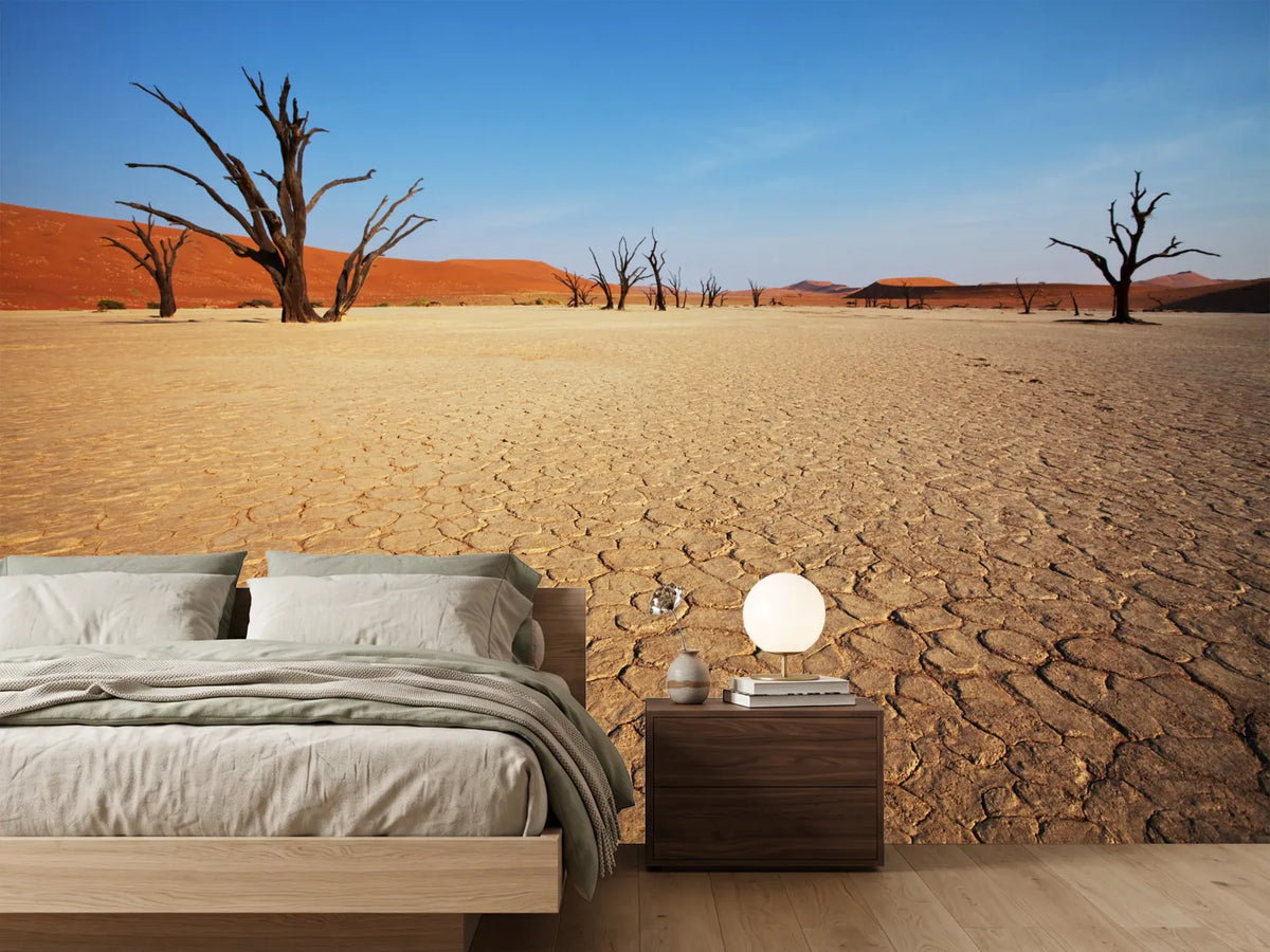 photo-wallpaper-desert