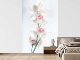 photo-wallpaper-pale-beauty