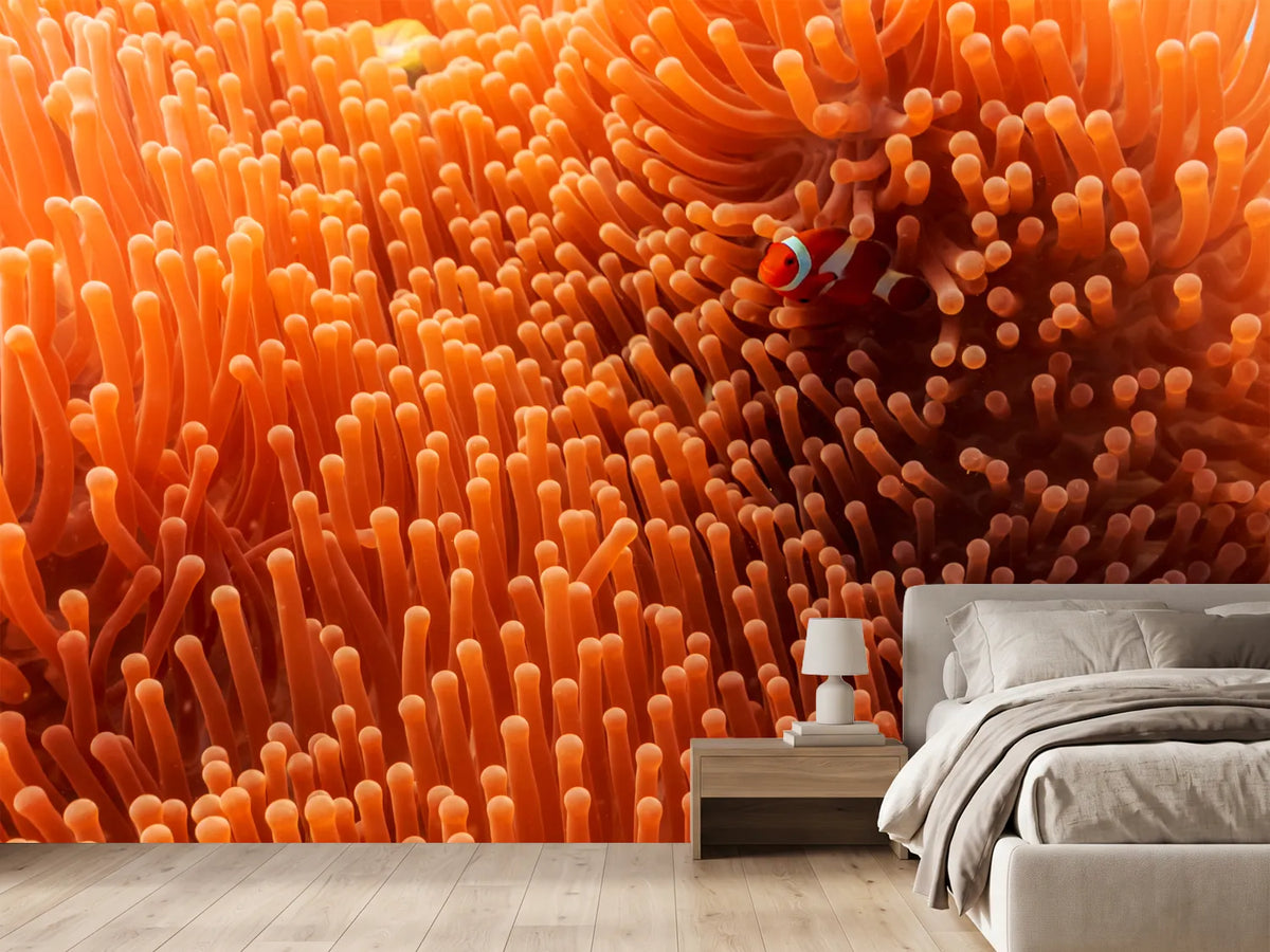 photo-wallpaper-hide-and-seek-x