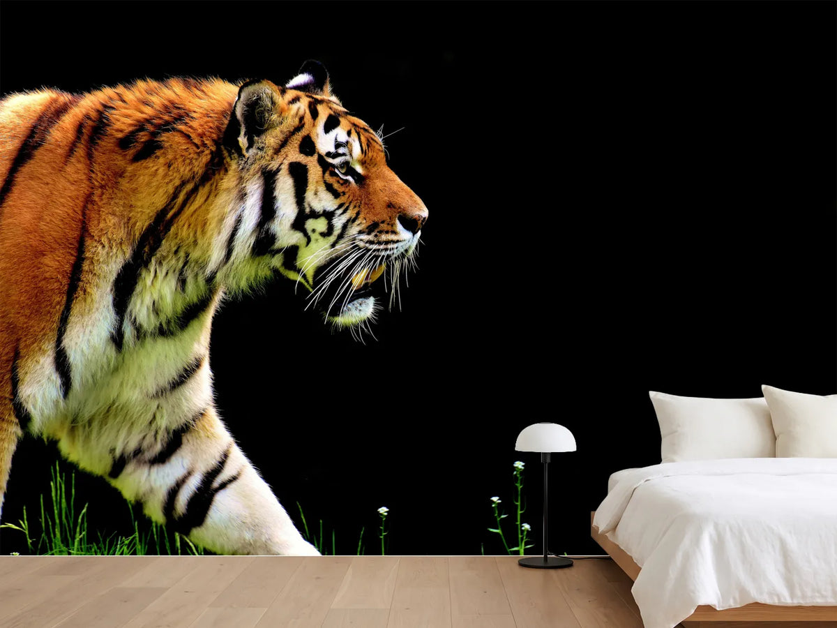 photo-wallpaper-imposing-tiger