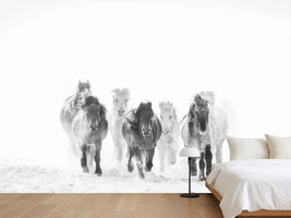 photo-wallpaper-majestic-horses-winter