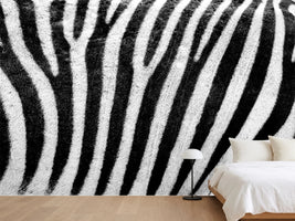 photo-wallpaper-strip-of-the-zebra