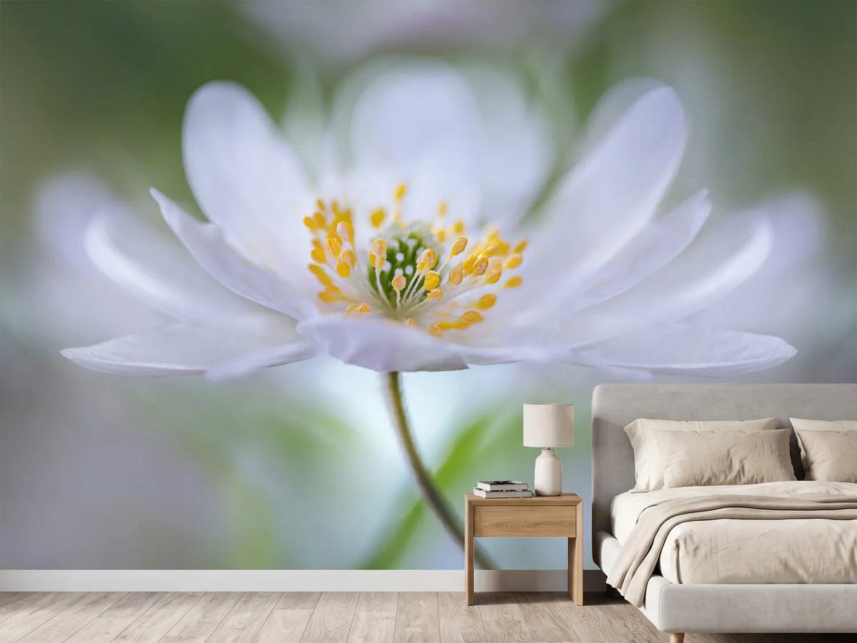 photo-wallpaper-nemorosa-nirvana