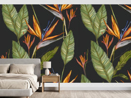 photo-wallpaper-exotic-bird-of-paradise