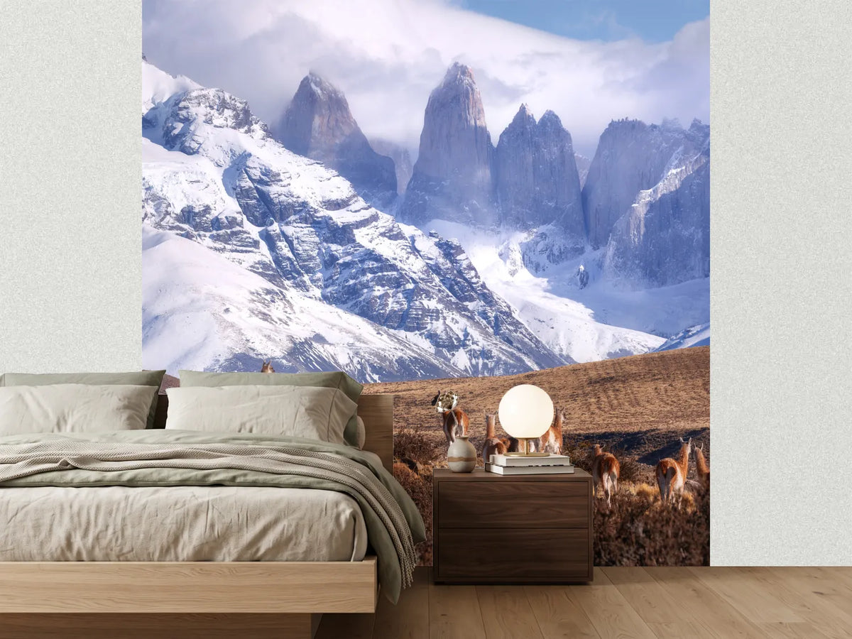 photo-wallpaper-guanakos-in-patagonia-x