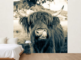 photo-wallpaper-grazing-time-in-bavaria