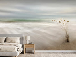 photo-wallpaper-ears-in-the-sea-x
