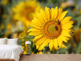 photo-wallpaper-bees-at-work