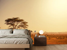 photo-wallpaper-pastures-in-kenya