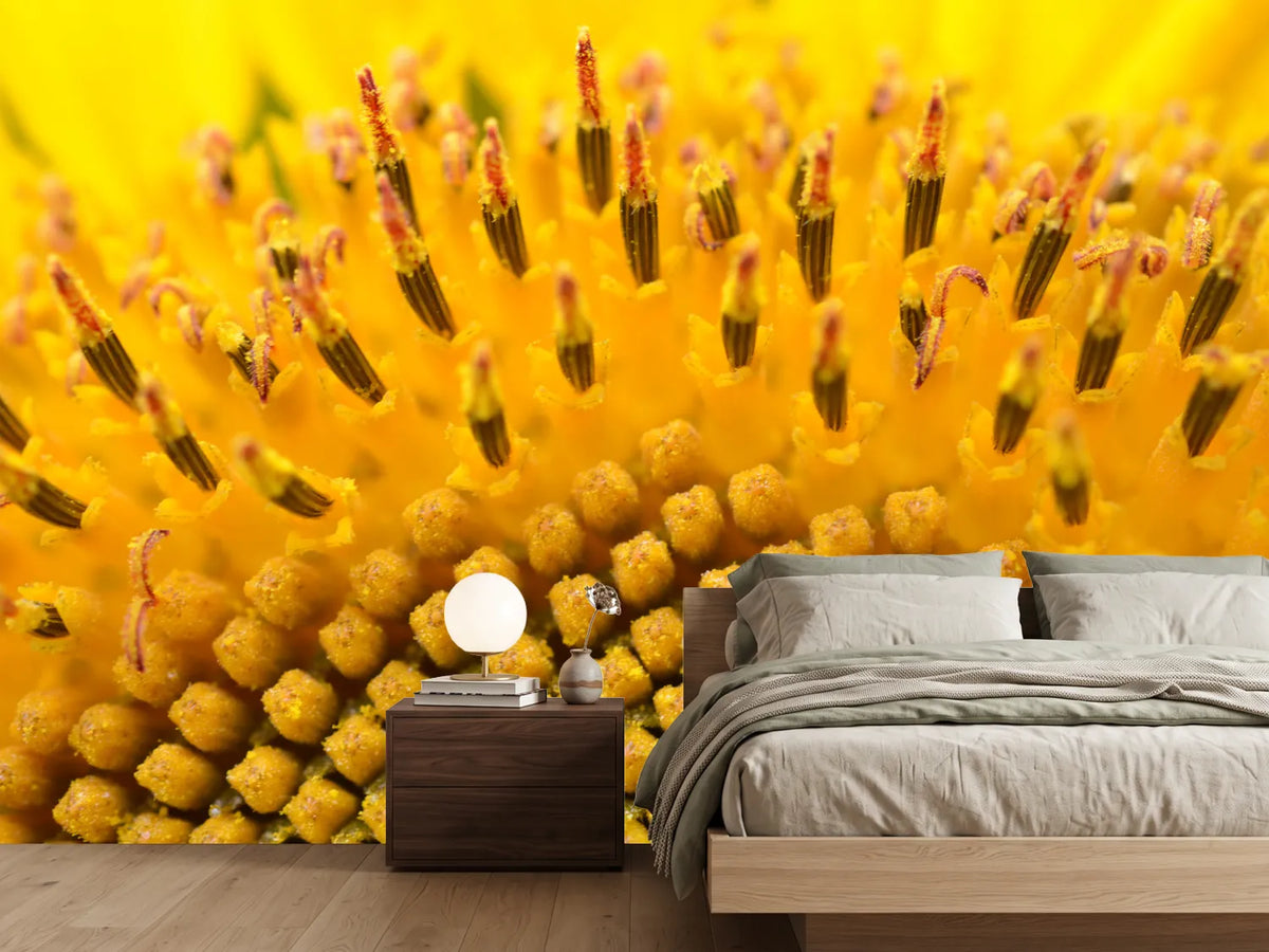 photo-wallpaper-the-buds-of-the-sunflower-in-xxl