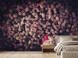 photo-wallpaper-thyme-carpet-x