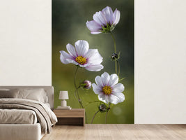photo-wallpaper-cosmos-ii