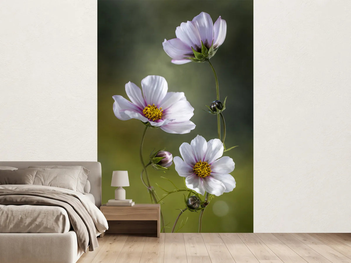 photo-wallpaper-cosmos-ii
