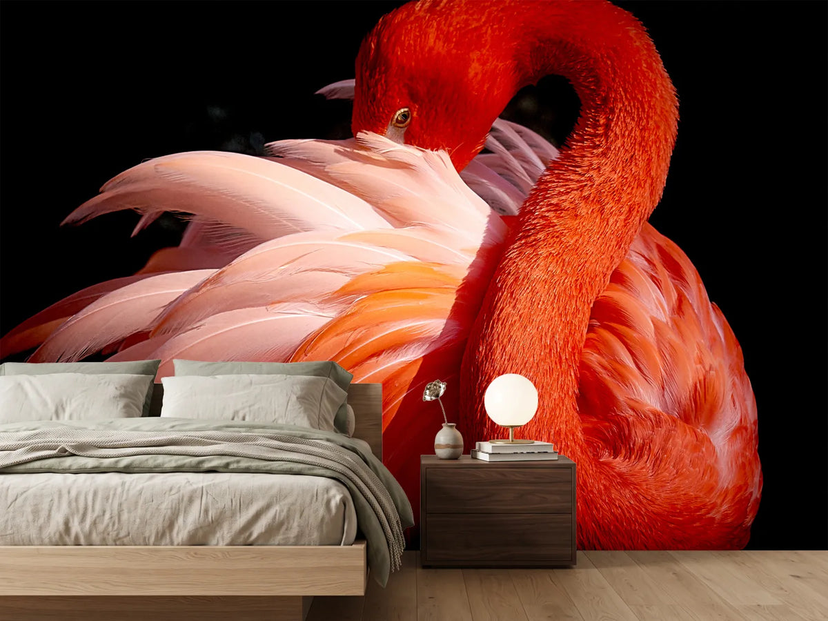 photo-wallpaper-flamingo-xoc