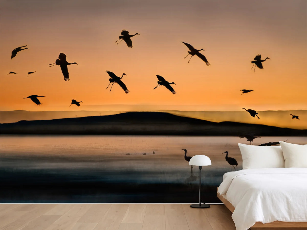 photo-wallpaper-fly-in-at-sunset