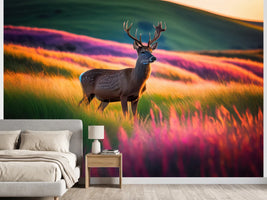 photo-wallpaper-stag-in-glowing-grasslands-at-sunset