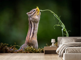 photo-wallpaper-squirrel-with-a-flower