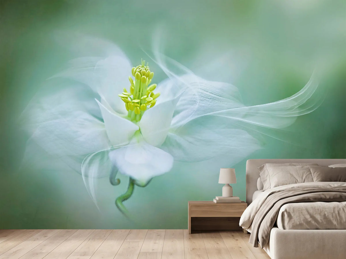 photo-wallpaper-mystical-xvs