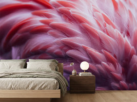 photo-wallpaper-flamingo-xqw