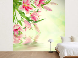 photo-wallpaper-lilies-on-water