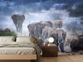 photo-wallpaper-elephants-of-amboseli-x