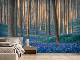 photo-wallpaper-dreams-are-made-of-these-x