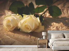photo-wallpaper-the-purity-of-the-roses