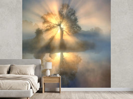 photo-wallpaper-tree-of-light-x