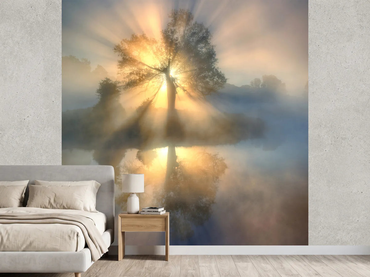 photo-wallpaper-tree-of-light-x
