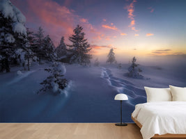 photo-wallpaper-winter-steps-x
