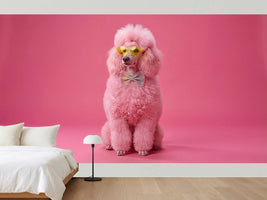 photo-wallpaper-pink-poodle-in-yellow-sunglasses-and-a-glittery-bow-tie