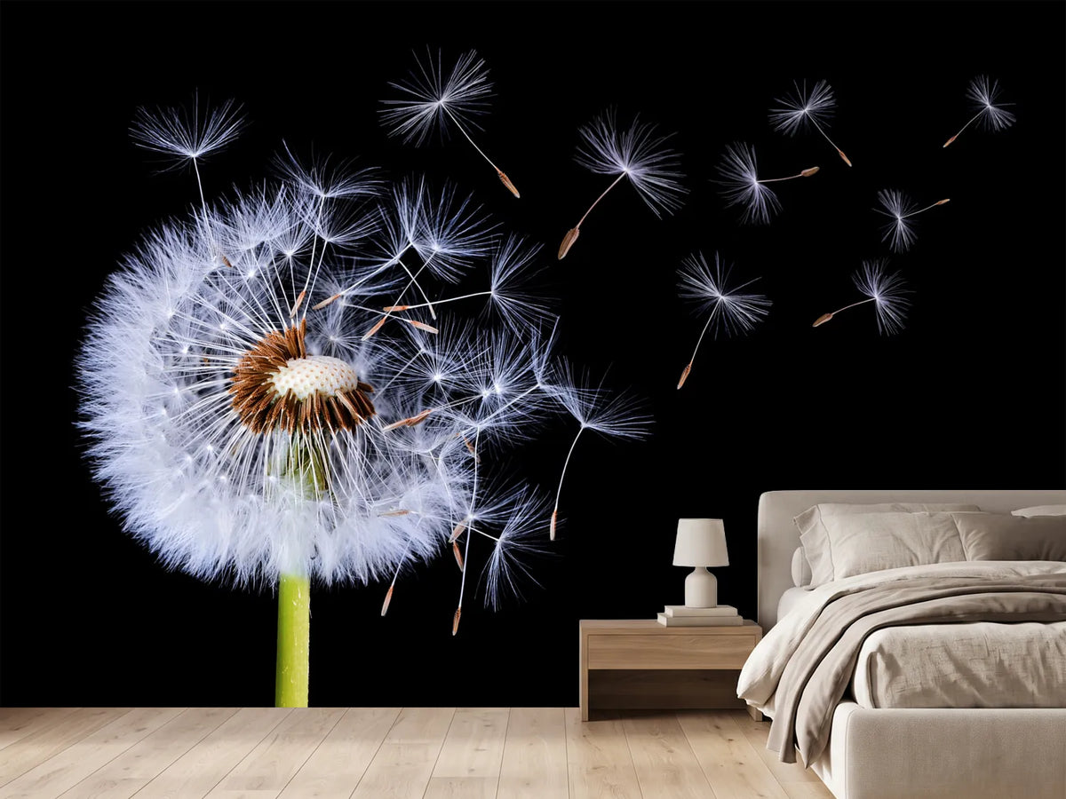 photo-wallpaper-dandelion-blowing