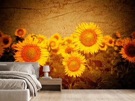 photo-wallpaper-retro-sunflower