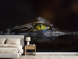photo-wallpaper-hypnotic