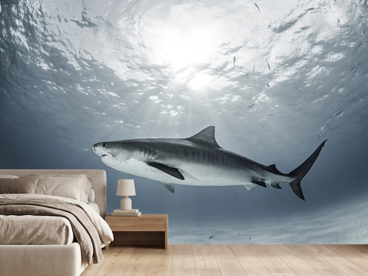 photo-wallpaper-tiger-rays-x