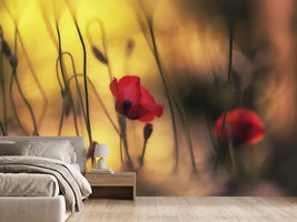 photo-wallpaper-untitled-xvi-p