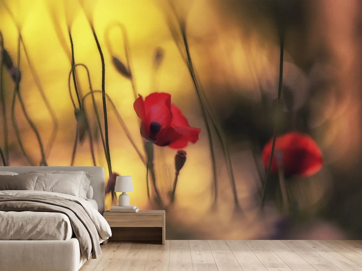 photo-wallpaper-untitled-xvi-p