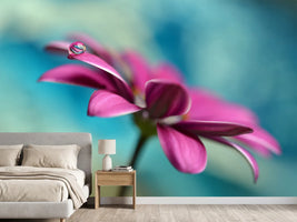 photo-wallpaper-pattern-drop