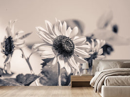 photo-wallpaper-sunflowers-sw