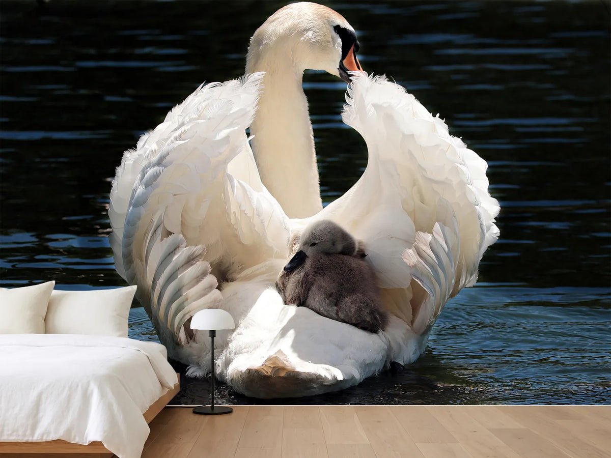 photo-wallpaper-mom-and-baby-swan