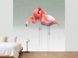 photo-wallpaper-just-we-two