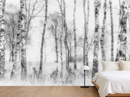 photo-wallpaper-black-and-white