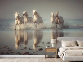 photo-wallpaper-camargue-horses-x