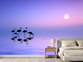 photo-wallpaper-morning-flamingo-x
