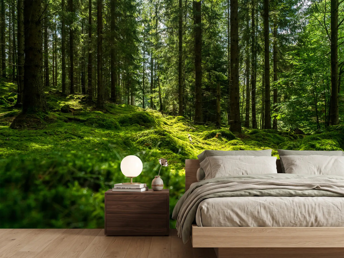 photo-wallpaper-beautiful-green-mossy-forest-in-sweden